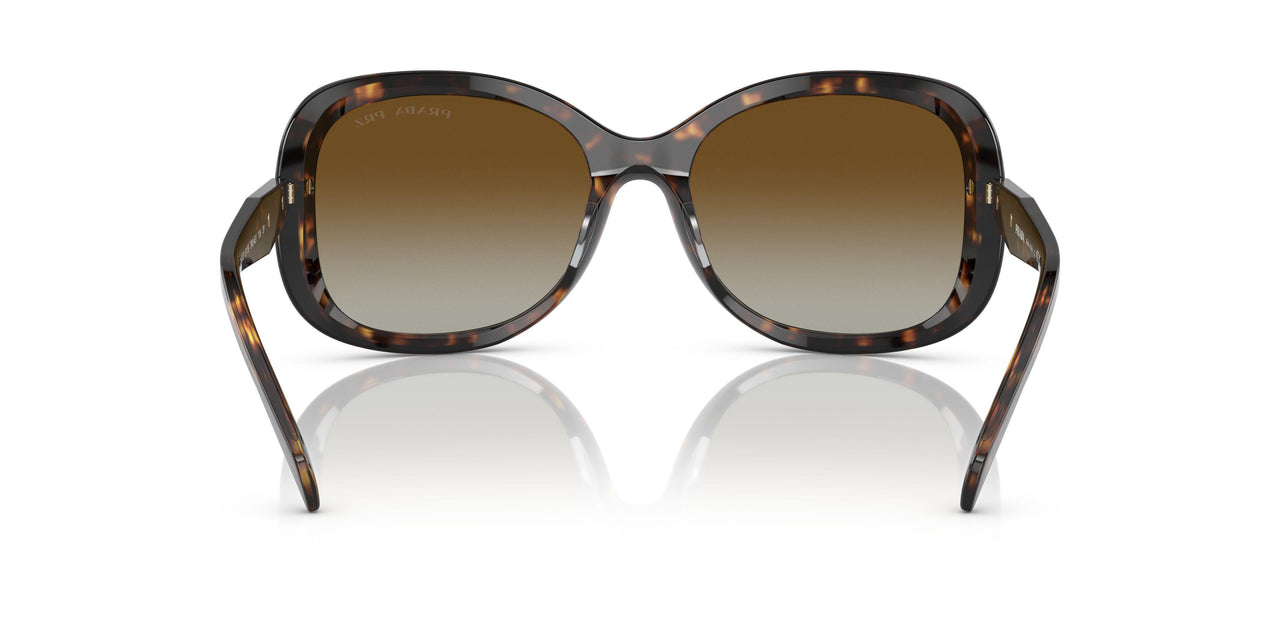 2AU6E1 - Havana - Polar Brown Gradient