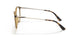 W656 - Brown