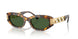 551471 - Tortoise - Dark Green