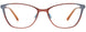 10 - Copper Brown & L. Blue Trim