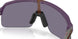 946338 - Violet - Prizm Grey