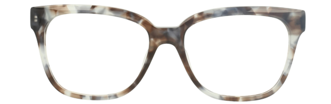 TBL - Tortoise/Blue