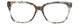 TBL - Tortoise/Blue