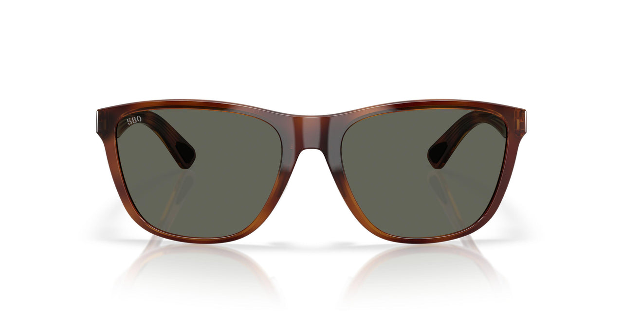 912406 - Tortoise - Gray