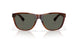 912406 - Tortoise - Gray