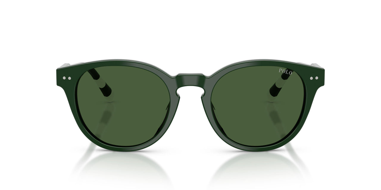 631671 - Green - Dark Green