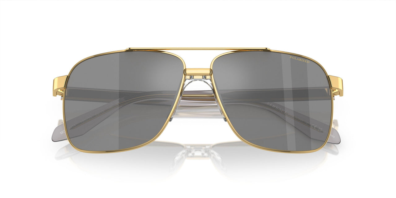 1002Z3 - Gold - Dk Grey Mirror Silver Polar