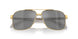 1002Z3 - Gold - Dk Grey Mirror Silver Polar