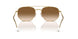 001/51 - Gold - Brown