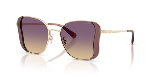 Coach Cdp51 7188 Sunglasses