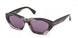 MAXMARA Kate 0169 Sunglasses