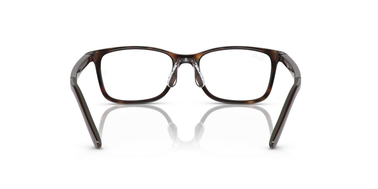 3863 - Tortoise - Clear