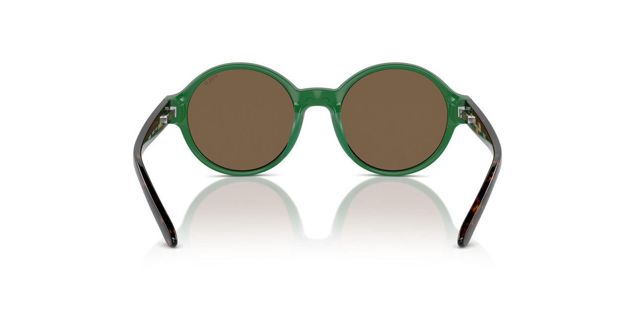 619273 - Green - Brown