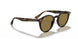 710/73 - Havana - Dark Brown