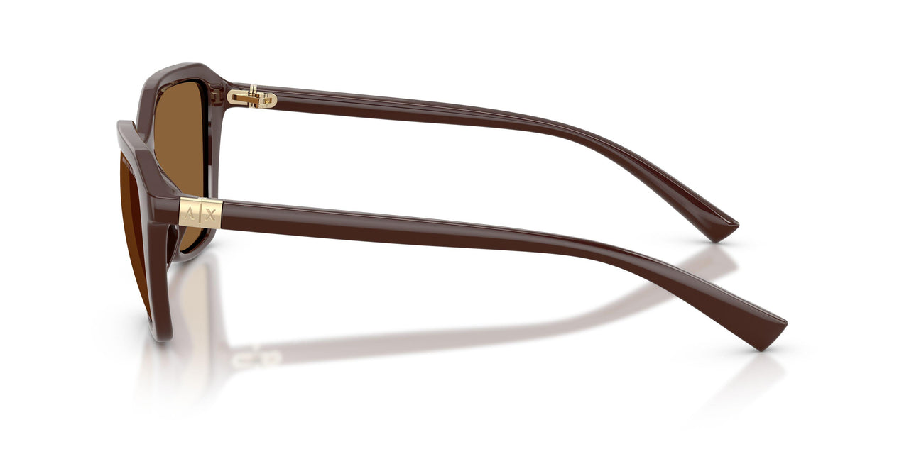 841473 - Brown - Brown