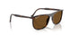902/57 - Tortoise - Brown Polar