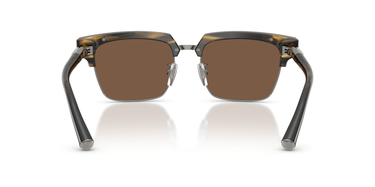 306373 - Tortoise - Brown