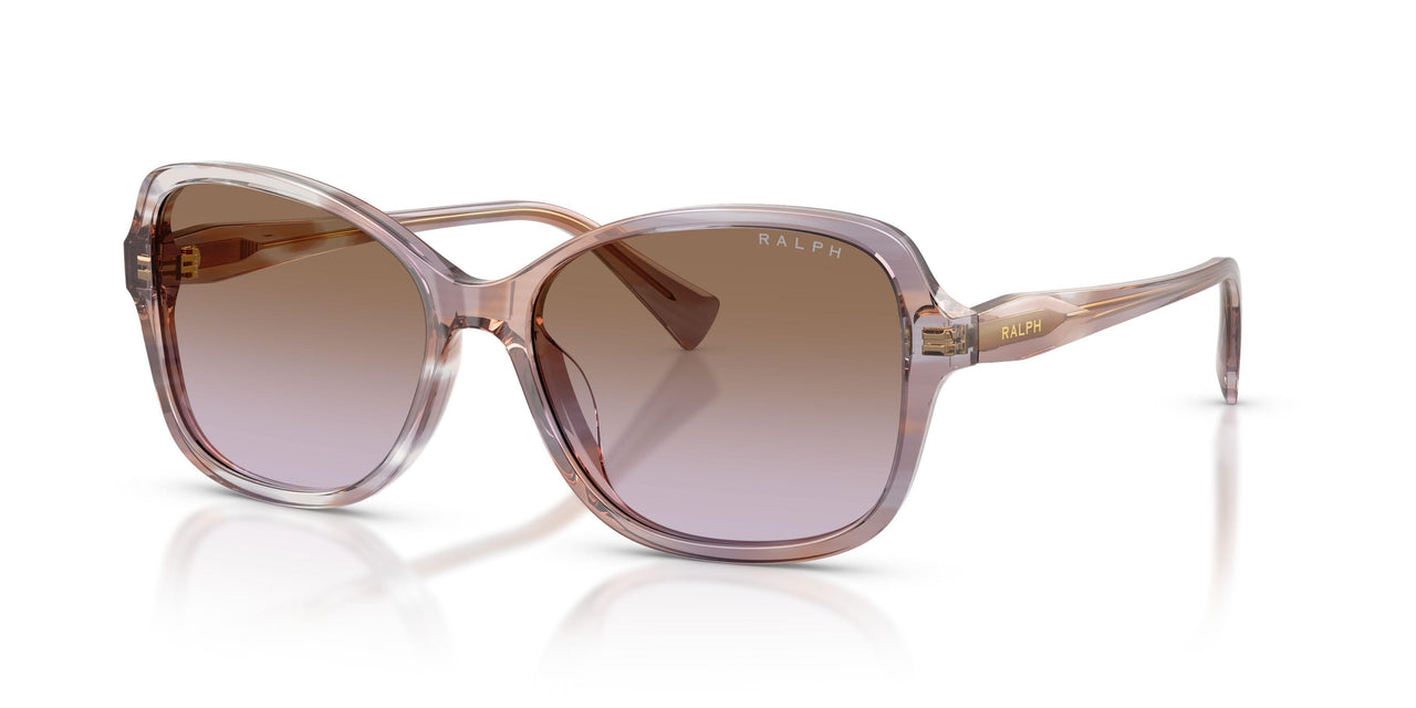 634068 - Tortoise - Gradient Violet
