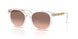 301513 - Transparent - Pink Gradient Dark Brown