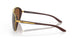412922 - Brown - Prizm Tungsten Polarized