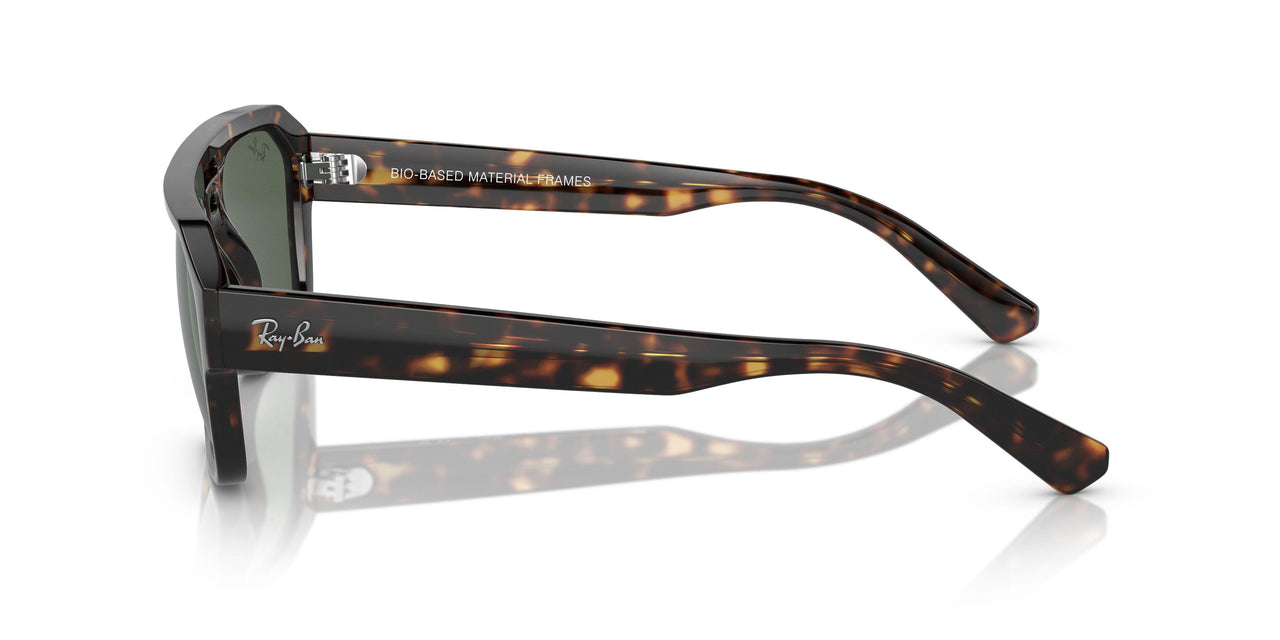 135971 - Tortoise - Dark Blue