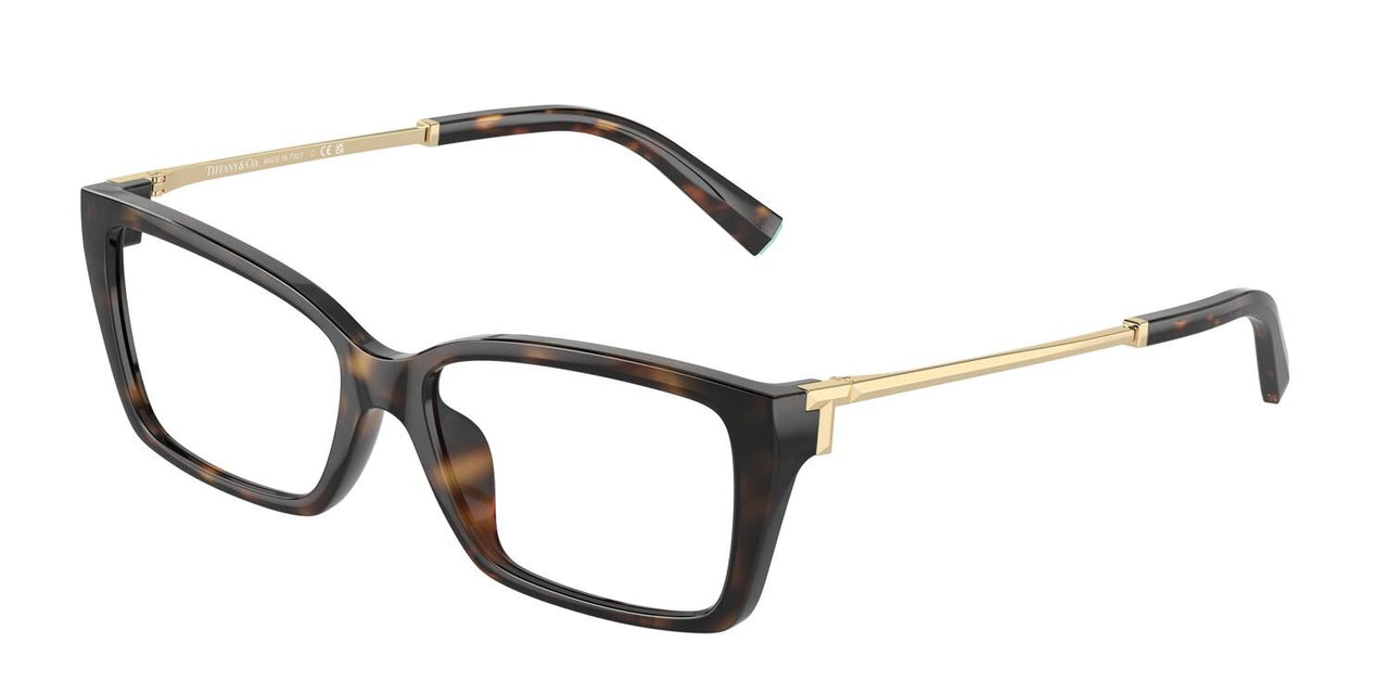 8015 - Tortoise