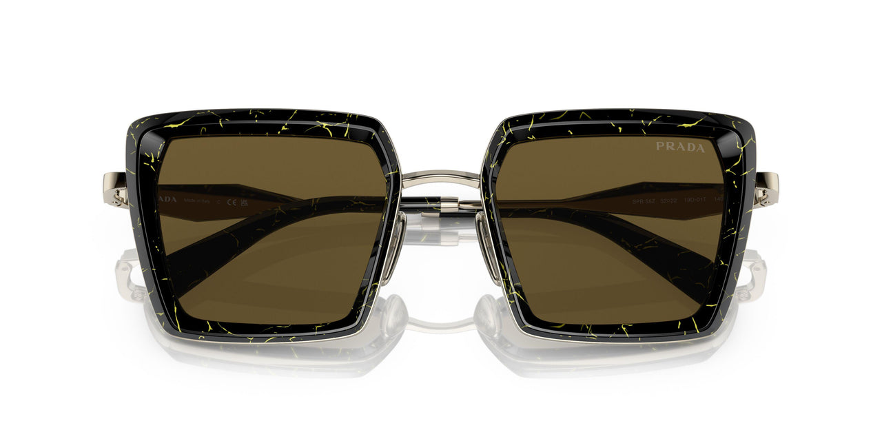 19D01T - Black - Dark Brown