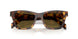 14L09Z - Tortoise - Dark Brown