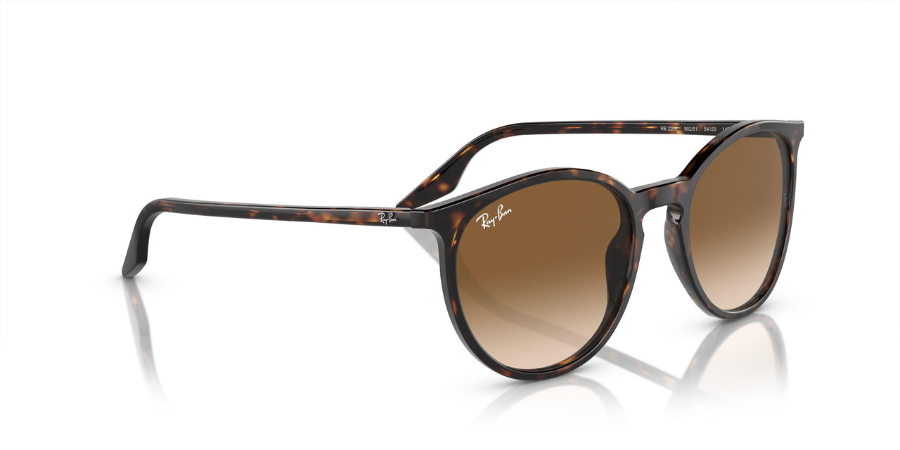 902/51 - Tortoise - Clear/brown