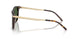 500371 - Brown - Bottle Green