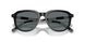 500181 - Black - Polar Dark Grey