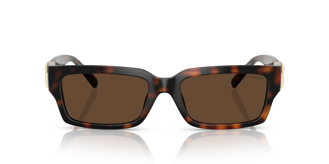 80153G - Tortoise - Light Brown