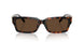 80153G - Tortoise - Light Brown