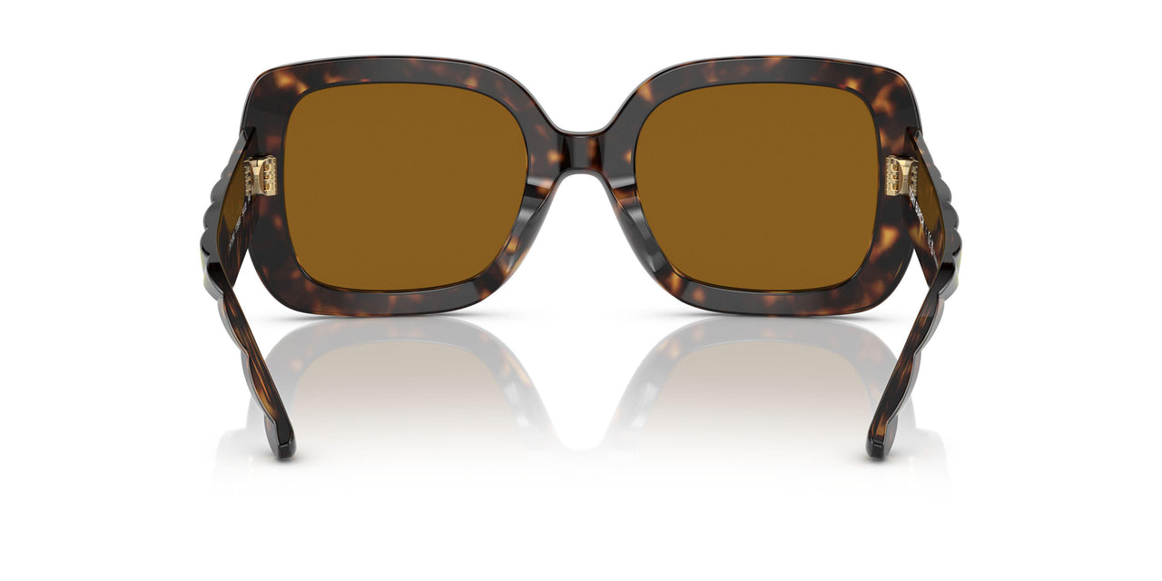 172883 - Havana - Solid Brown Polar