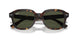 902/31 - Tortoise - Green