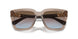 294048 - Brown - Azure Gradient Pink Gradient Brown