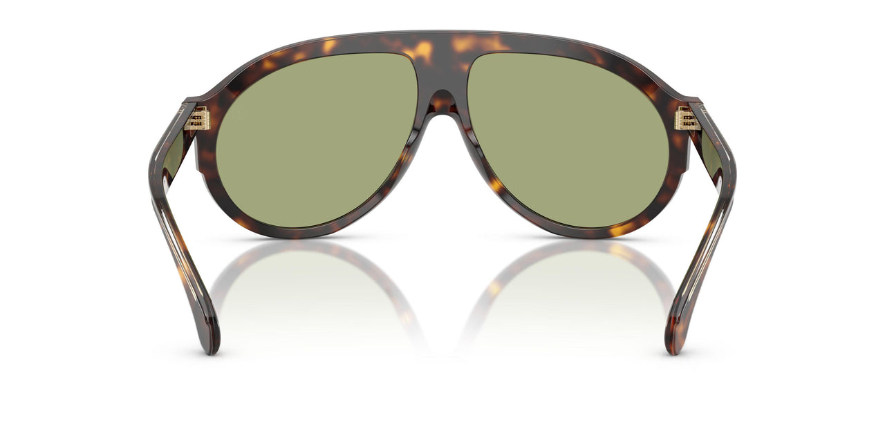 300282 - Tortoise - Green