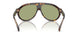 300282 - Tortoise - Green