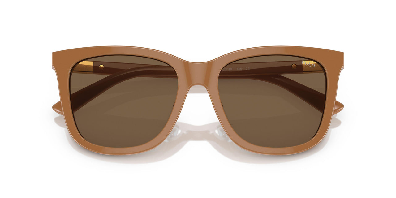 619673 - Brown - Dark Brown