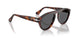 24/B1 - Tortoise - Dark Grey