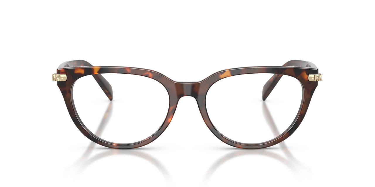 4031 - Tortoise