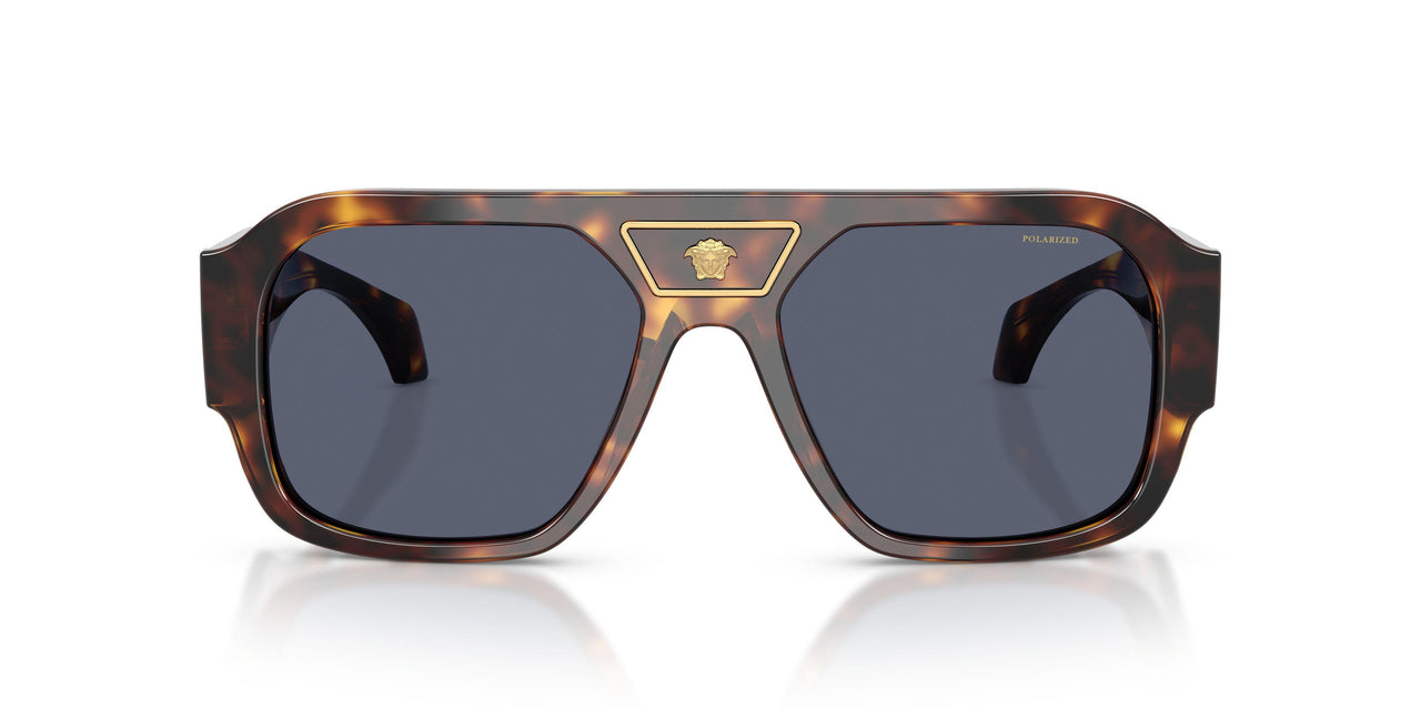 55372V - Tortoise - Dark Blue Polar