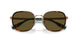 944973 - Tortoise - Olive Green