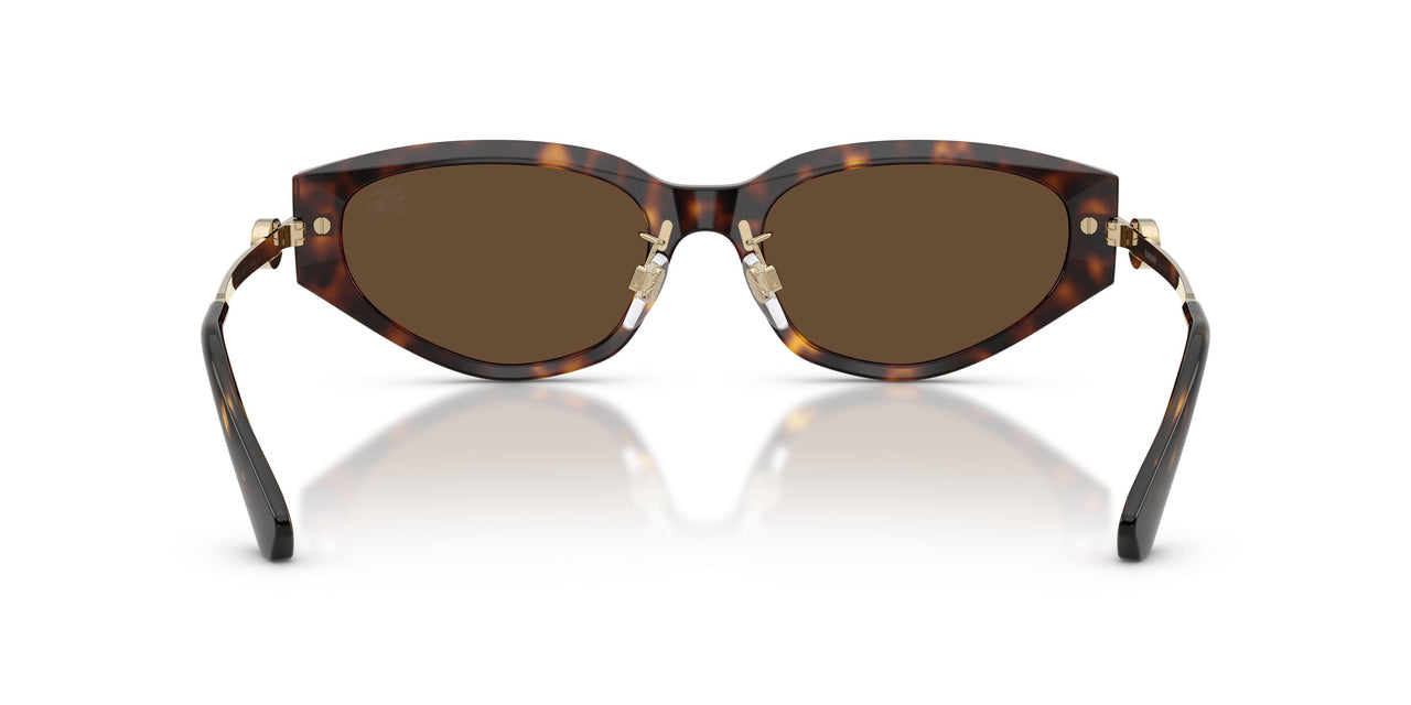 300273 - Brown - Dark Brown