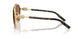 02/73 - Gold - Dark Brown