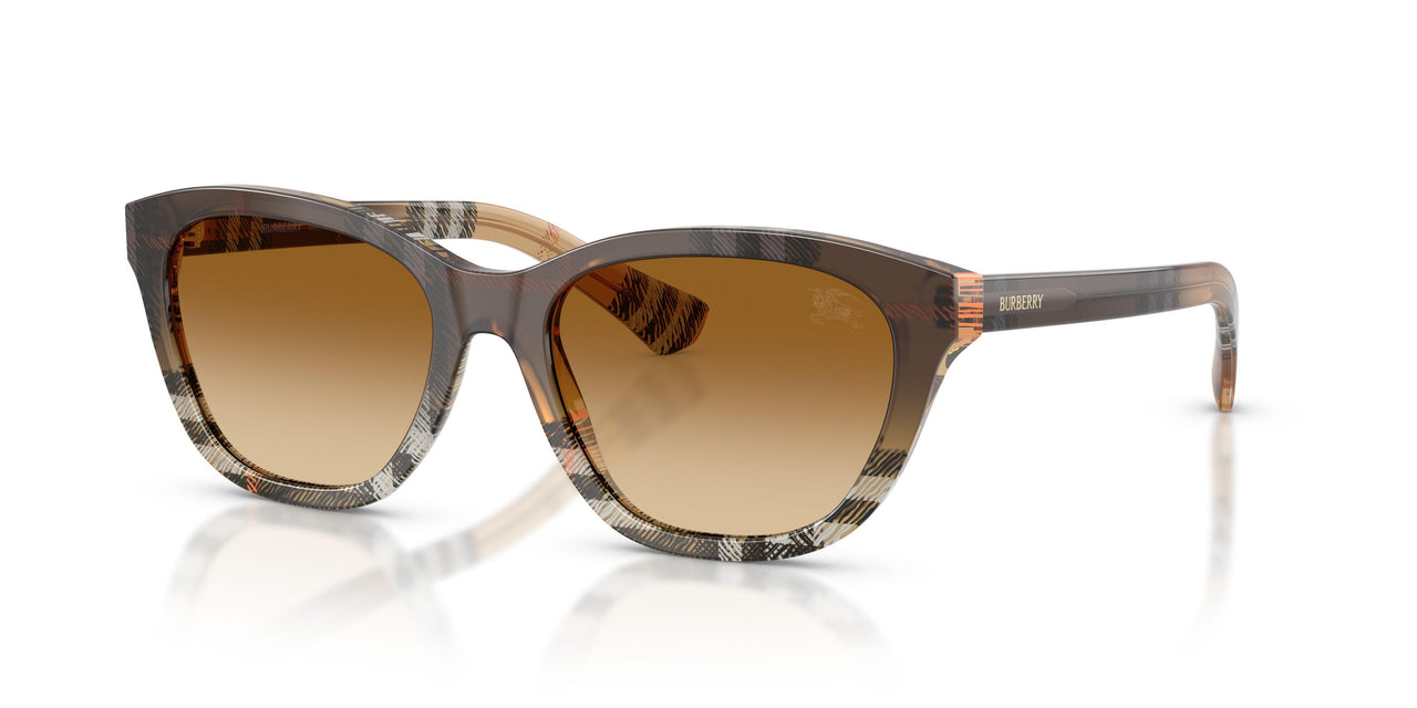 420213 - Brown - Brown Gradient