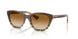 420213 - Brown - Brown Gradient