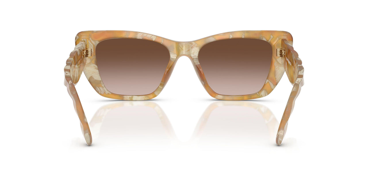 194913 - Tortoise - Brown Gradient