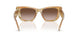 194913 - Tortoise - Brown Gradient