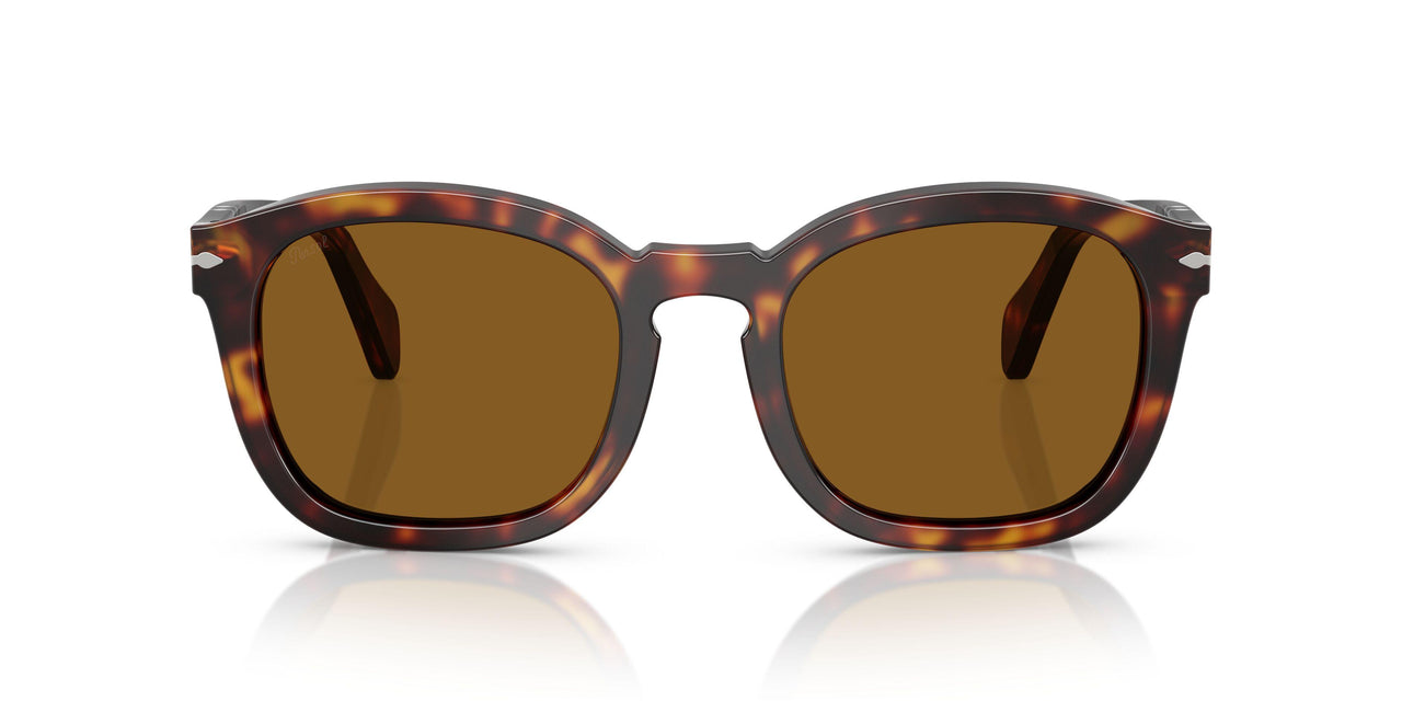 24/33 - Tortoise - Brown